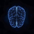 Top view of human brain