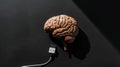 Top view of human brain model with USB cable, on black background. Turn on your brain. Creative ideas. Generative AI Royalty Free Stock Photo