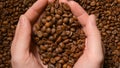 TOP VIEW: Human takes a roasted coffee beans by both hands