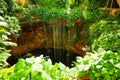 Top view of Ik-Kil cenote at Chichen Itza, Mexico Royalty Free Stock Photo