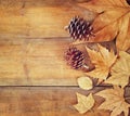 Top view image of autumn leaves and pine cones over wooden textured background Royalty Free Stock Photo