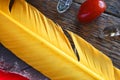 Yellow Sacred Feather