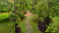 Top view image, Curve pattern of brown laterite walkway in a tropical garden, greenery fern epiphyte plant, shrub and bush