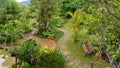 Top view image, Curve pattern of brown laterite walkway in a tropical garden, greenery fern epiphyte plant, shrub and bush