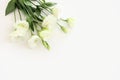 Top view image of delicate beautiful white flowers background