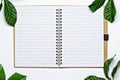 Top view image of open notebook with blank pages on white desk, that was covered by a vintage style green leaves. Royalty Free Stock Photo