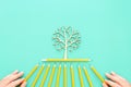 Top view image of pencil and tree concept. idea of education, creativity, and growth Royalty Free Stock Photo