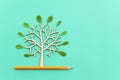 Top view image of pencil and tree concept. idea of education, creativity, and growth Royalty Free Stock Photo