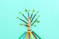 Top view image of pencil and tree concept. idea of education, creativity, and growth Royalty Free Stock Photo