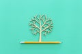 Top view image of pencil and tree concept. idea of education, creativity, and growth Royalty Free Stock Photo