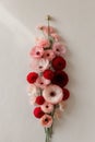 Top view image of pink and red flowers composition over pastel background. Royalty Free Stock Photo