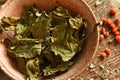 Dried Plantain Leaves with Rose Hips