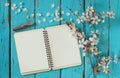 Top view image of spring white cherry blossoms tree, open blank notebook next to wooden colorful pencils on wooden table