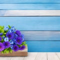 Top view image of sunflowers over blue wooden background. flowers over vintage painted blue wooden table. Backdrop with copy space Royalty Free Stock Photo