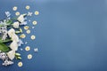 Top view image of white flowers composition over blue background .Flat lay Royalty Free Stock Photo