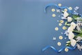 Top view image of white flowers composition over blue background .Flat lay Royalty Free Stock Photo