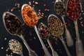 Top view of indian spices in silver spoons on black textured background. Royalty Free Stock Photo