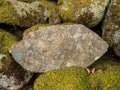 Top view of an interesting texture of a rock covered with moss in a forest Royalty Free Stock Photo