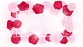 Top view isolate valentine floral invitation rounding by pink and red roses