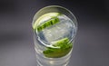 Top view on isolated glass with sparkling tonic water, cucumber slices, gin and ice cubes, white gray background