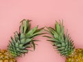 Top view of isolated pineapples lying on a pink background with space for text at the top of the image. Concept of tropical fruit