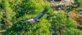 Top view of isolated vulture flying over the forest