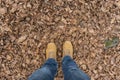 Top view of jeans legs and yellow boots on autumn leaves .Fashion , falling foliage concept background Royalty Free Stock Photo