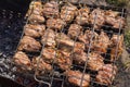 Juicy pork meat grilled outdoor on smouldering carbons Royalty Free Stock Photo