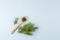 Top view of Juniper latin Juniperus communis berries on wooden spoon juniper tree branch with confier cones.