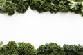 Top view kale salad with copy space. High quality and resolution beautiful photo concept