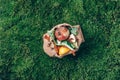 Top view. Kitchen food waste collected in craft paper bag. Peeled vegetables on green grass, moss background