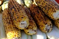 Top view of kitchen table with grilled sweet corn cob under melting butter and greens on baking paper Royalty Free Stock Photo