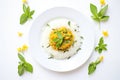 top view of korma with jasmine rice on a white plate, mint decor