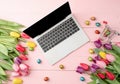 Top view of laptop computer, colorful tulips and Easter eggs on pink wooden background Royalty Free Stock Photo