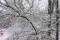 Top view of large icicles on the wire in winter on the street and snow drifts