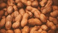 Top view of a large number of ripe peanuts in shells lying in a grocery store. A rich crop of nuts