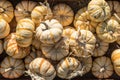 Top View Of A Large Pile Of Small Pump Ke Mon Pumpkins In Rustic