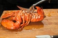 Large steamed lobster being cut open