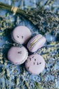 Top view of lavender macarons with spiced milk and frozen berries