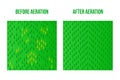 Top view Lawn Aeration. Before and After stage. Vector stock sign surface illustration Bad good lawn