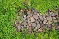 Top view leaf green fern and rocks pattern fresh shape backdrop in the garden decorate simple design background