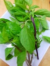 Top view of leaves sweet Basil or Thai Basil in white plate Royalty Free Stock Photo