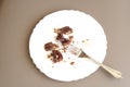 Top view of leftover chocolate cake with big crumbs