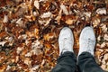 Top view legs in gray boots standing on fallen dry oak leaves outdoors, autumn background with copy space Royalty Free Stock Photo