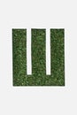 Top view of letter from cyrillic alphabet made of green grass isolated on white.
