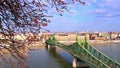 Liberty Bridge behind the spring tree branches, Budapest, Hungary