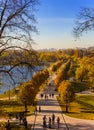 Top view of the lime alley of Tsaritsyno Park in autumn, Moscow,