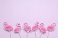 Top view of line of decorative pink flamingos.Empty space