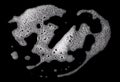 liquid white foam from soap or shampoo or shower gel. Abstract bubbles. isolated on a black background Royalty Free Stock Photo