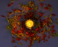 A top view of lit diya and flowers to celebrate diwali and dhanteras Royalty Free Stock Photo